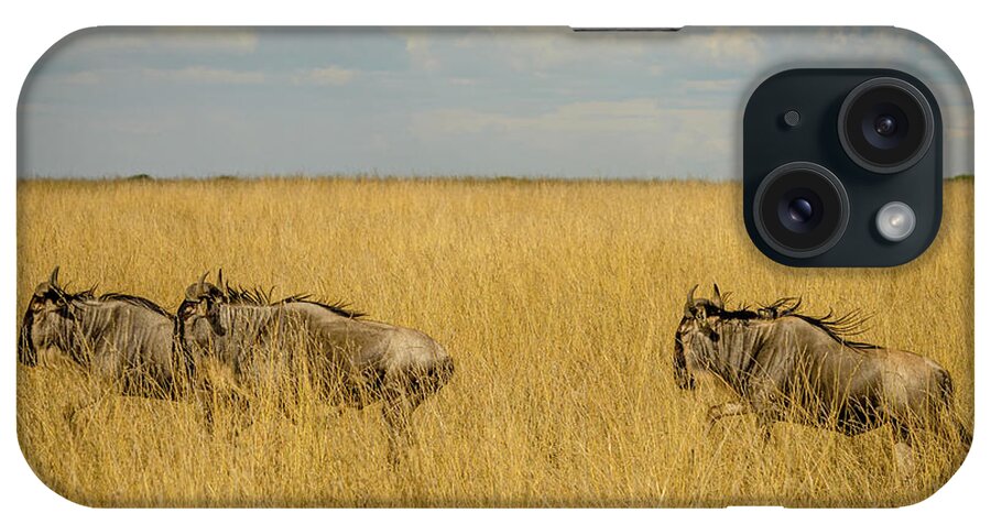 Africa iPhone Case featuring the photograph Triple Wildebeest Migration by Adrian O Brien