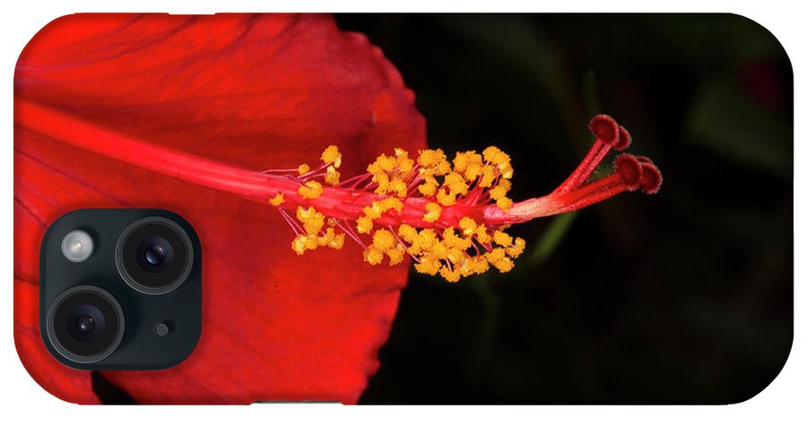 Hibiscus iPhone Case featuring the photograph Tropical Hibiscus Macro by Elisabeth Lucas