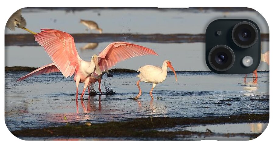 Roseate Spoonbill iPhone Case featuring the photograph Roseate Spoonbill 10 by Mingming Jiang