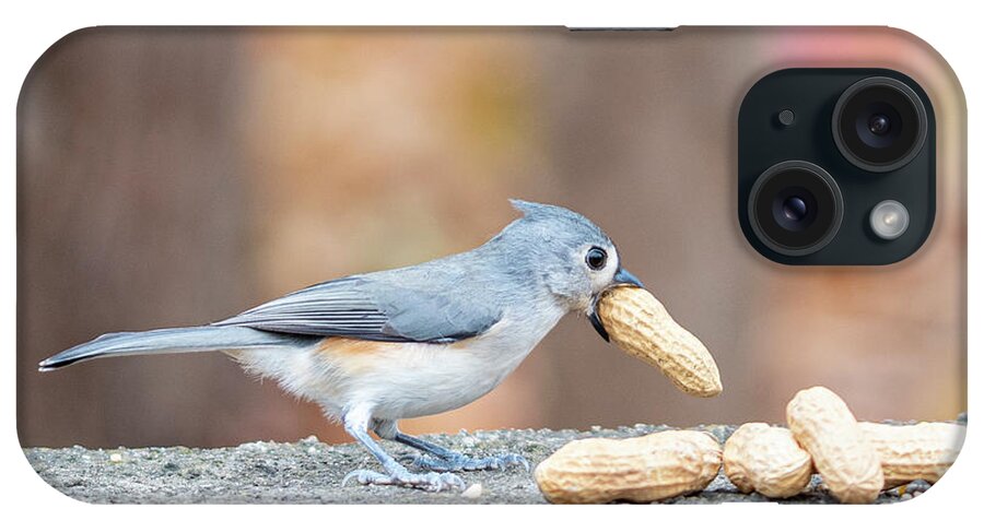 Little Gray Bird iPhone Case featuring the photograph Tufted Titmouse with Peanut in Mouth by Ilene Hoffman
