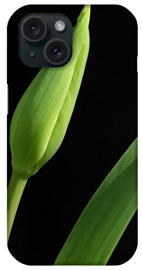Tulip iPhone Case featuring the photograph Tulip Bud on Black by Karen Smale