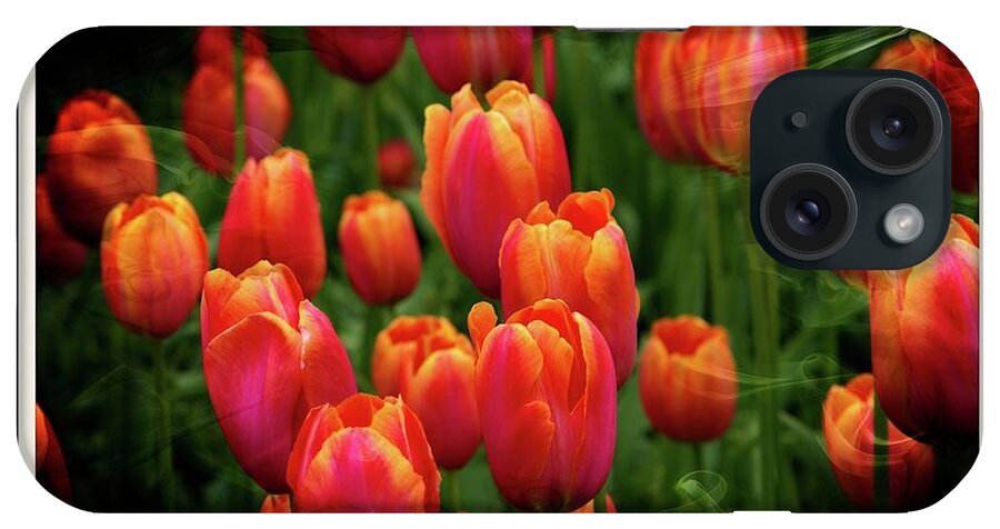 Tulips iPhone Case featuring the photograph Tulip Field Beauty by Michelle Liebenberg