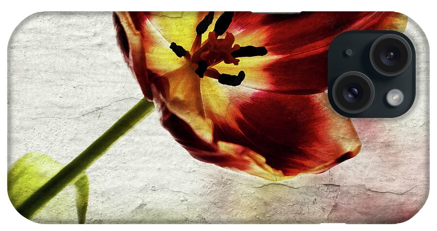 Red Tulip iPhone Case featuring the photograph Tulip Shadow by Al Fio Bonina