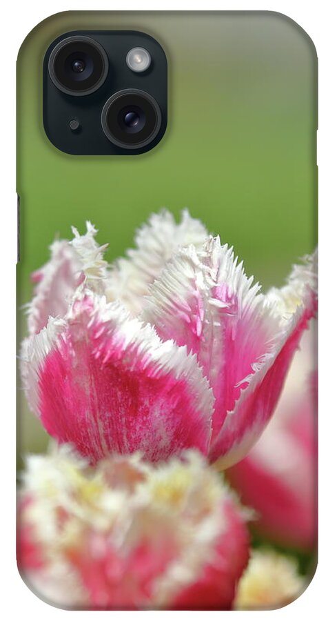 Nature iPhone Case featuring the photograph Tulip Textures by Lens Art Photography By Larry Trager