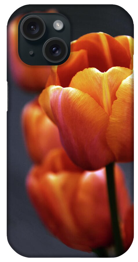 Tulips iPhone Case featuring the photograph Tulips Aglow by Jessica Jenney