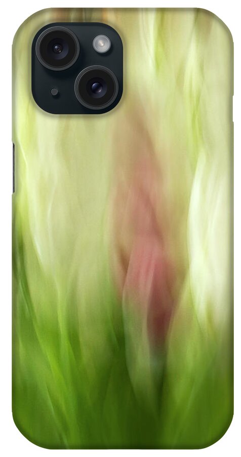 Tulips iPhone Case featuring the photograph Tulips by Cheryl Day