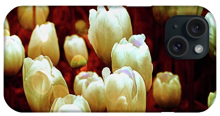 Tulips iPhone Case featuring the photograph Tulips Garden Hibster by Michelle Liebenberg