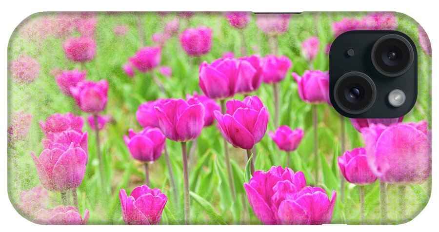 Flowers iPhone Case featuring the photograph Tulips Laughing by Marilyn Cornwell