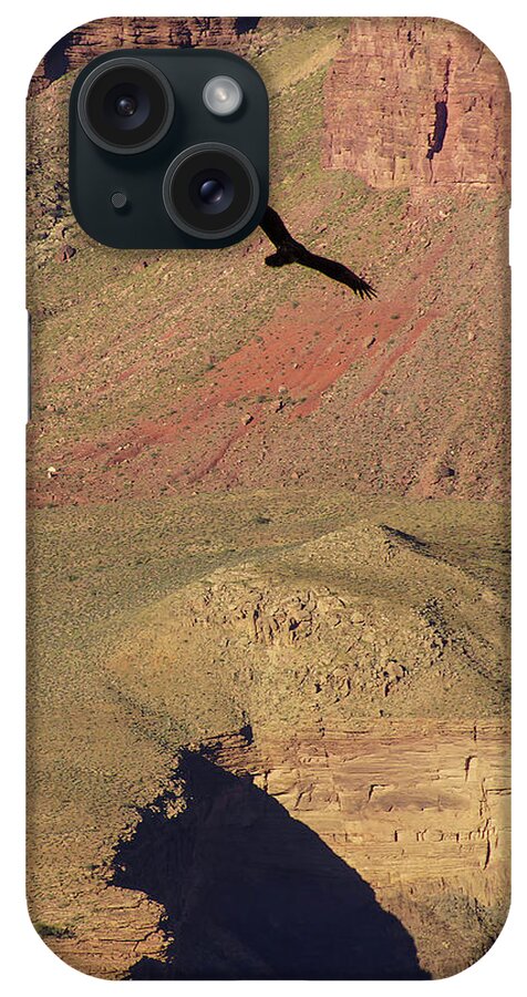 Arizona iPhone Case featuring the photograph Turkey vulture soaring by Steve Estvanik