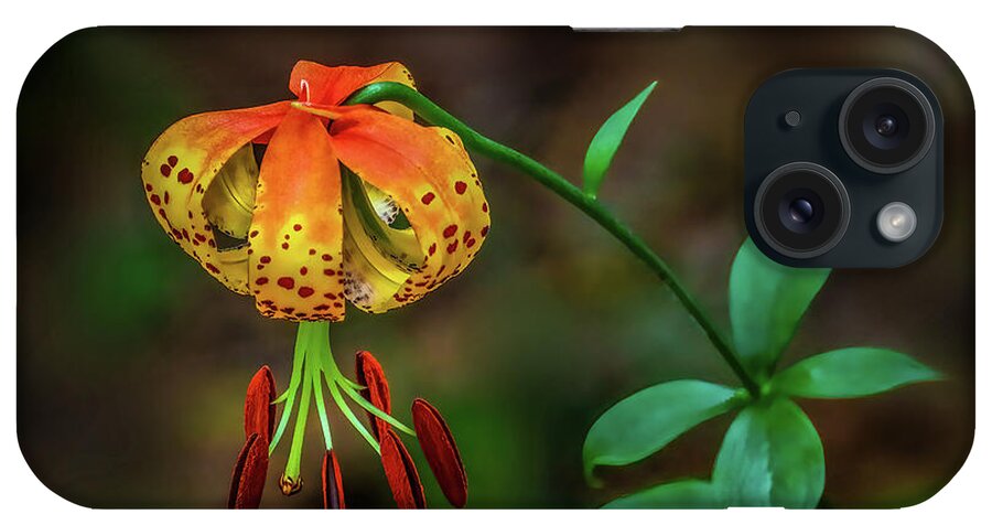 Lily iPhone Case featuring the photograph Turks Cap Lily by Shelia Hunt