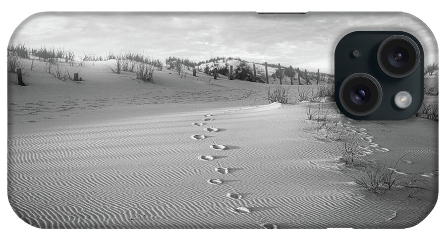 Turtle Tracks Black And White iPhone Case featuring the photograph Turtle Tracks Black And White by Dan Sproul