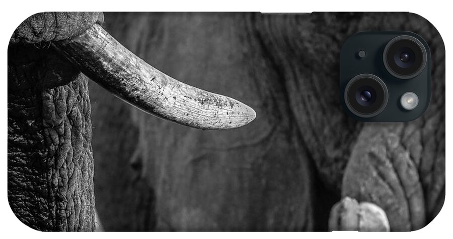 Elephant iPhone Case featuring the photograph Tusk and Eye BW by Alistair Lyne