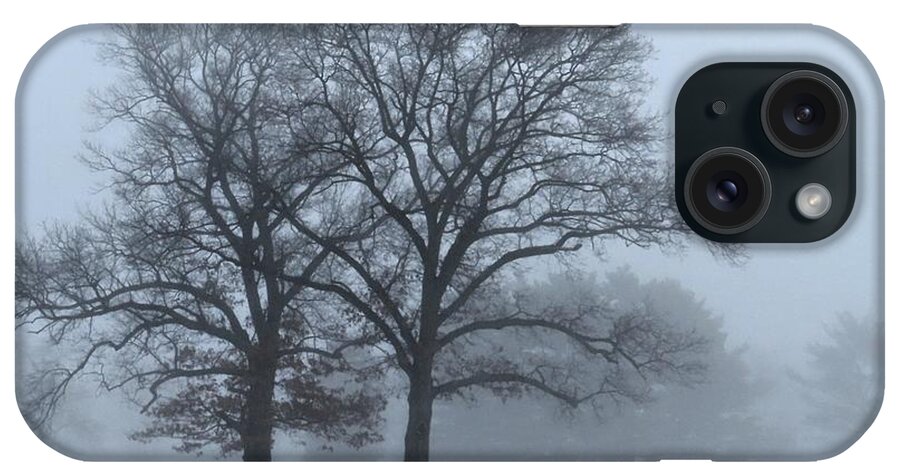 Trees iPhone Case featuring the photograph Twin Trees in the Fog by Linda Stern