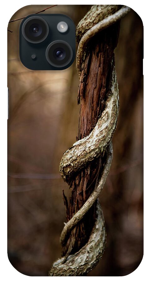 Nature iPhone Case featuring the photograph Twisted Growth by Rose Guinther