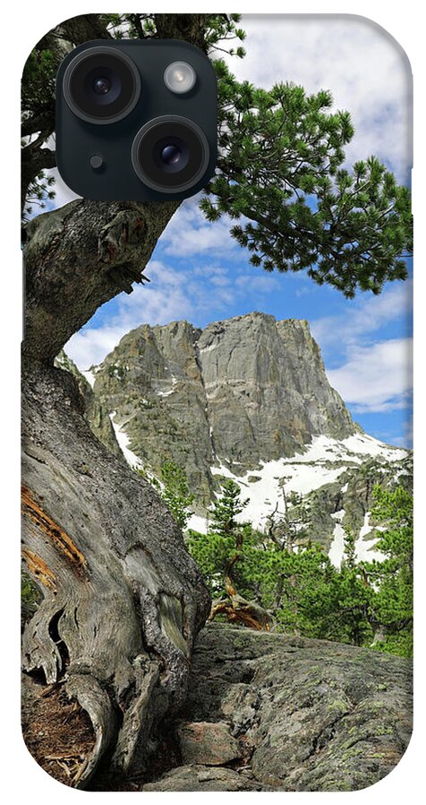Twisted Tree Hallett Peak iPhone Case featuring the photograph Twisted Tree Hallett Peak by Dan Sproul