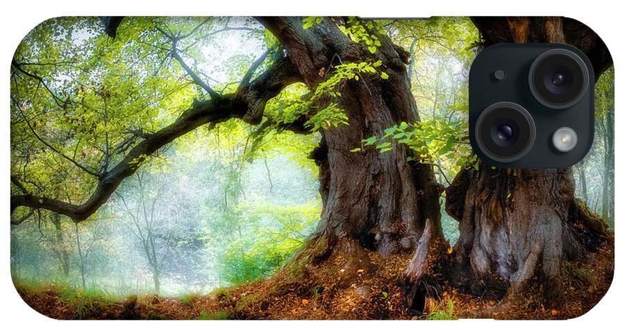Trees iPhone Case featuring the photograph Two beech trees by Remigiusz MARCZAK