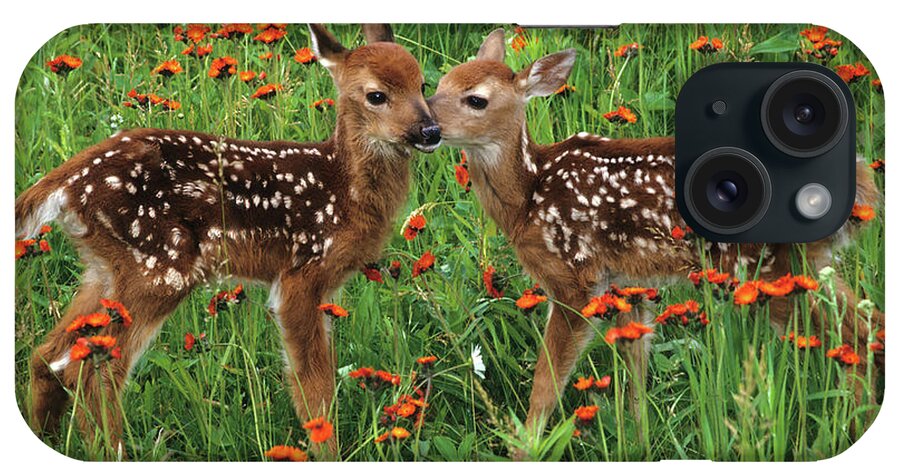 Deer iPhone Case featuring the photograph Two Fawns Talking by Chris Scroggins