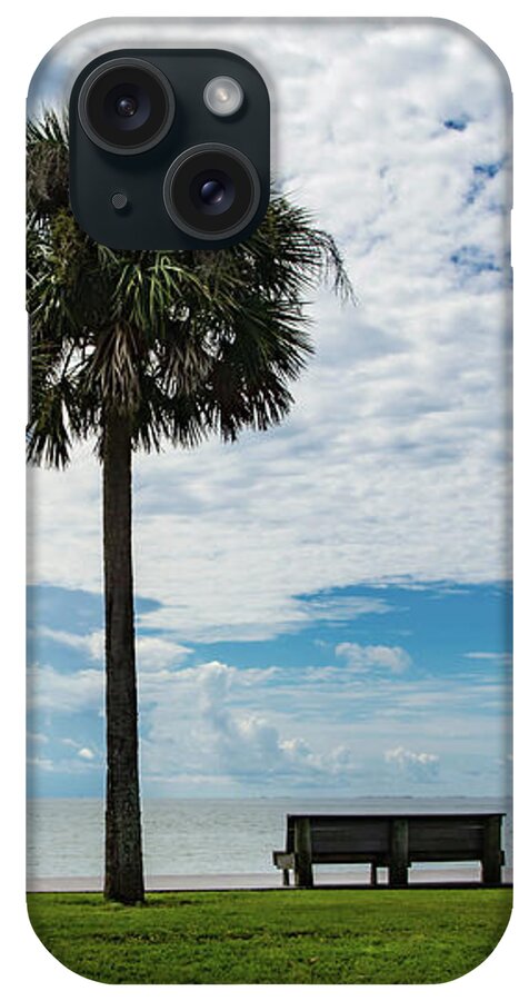 Two iPhone Case featuring the photograph Two Palms on Pensacola Bay by Beachtown Views