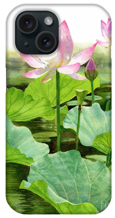 Pink iPhone Case featuring the painting Two Pink Lotus Blossoms with Bud by Sharon Freeman