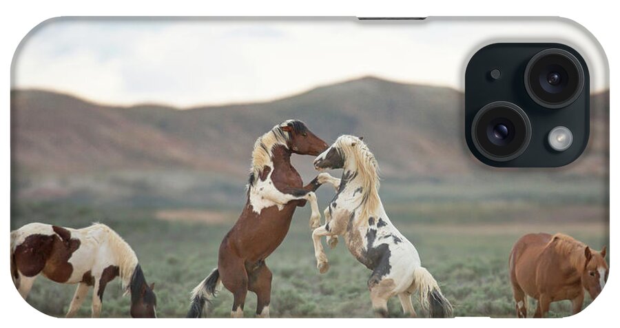 Wild Horse iPhone Case featuring the photograph Two to Tango by Sandy Sisti
