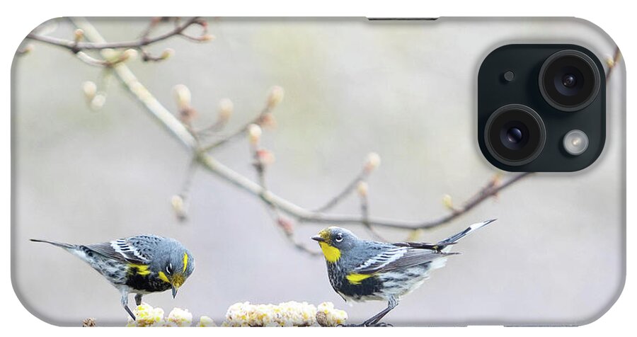 Yellow Rumped Warblers iPhone Case featuring the photograph Two Warbers on a Fence by Rebecca Cozart