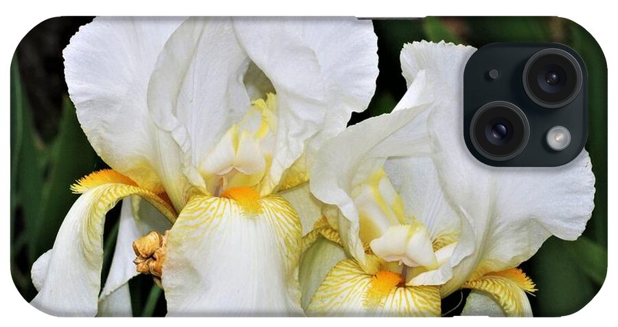 Nature iPhone Case featuring the photograph Two White Bearded Iris by Sheila Brown