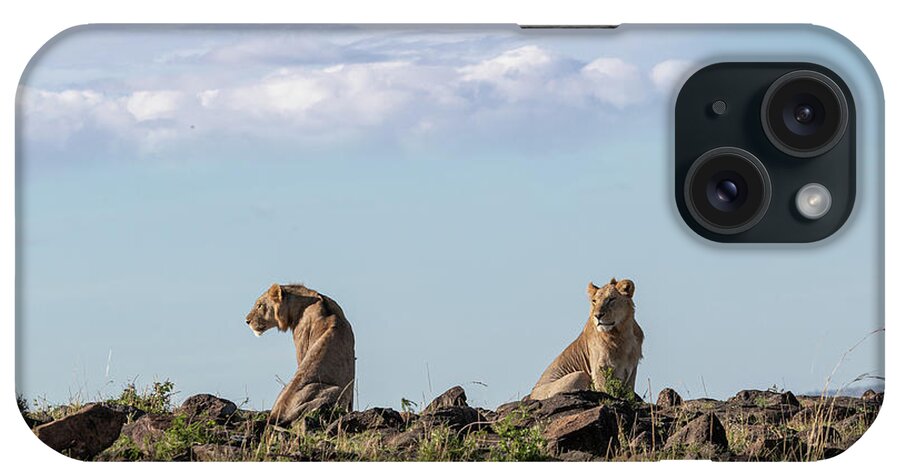 Lion iPhone Case featuring the photograph Two Young Male Lions on Kenya Horizon by Good Focused