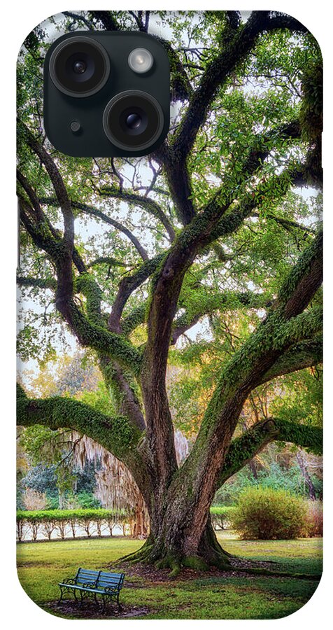 Natchez iPhone Case featuring the photograph Under the Live Oak Tree by Susan Rissi Tregoning