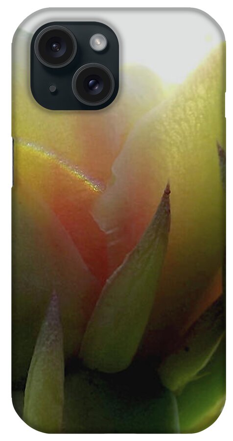 Prickly Pear iPhone Case featuring the photograph Under the Prickly Pear Cactus Flower by Shelli Fitzpatrick