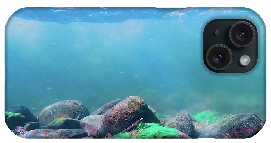 Sea iPhone Case featuring the photograph Underwater Scene - Upper Delaware River 6 by Amelia Pearn