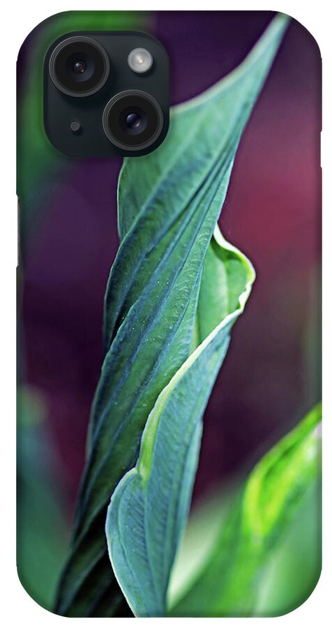 Hosta iPhone Case featuring the photograph Unfurling Hosta Leaf by Debbie Oppermann
