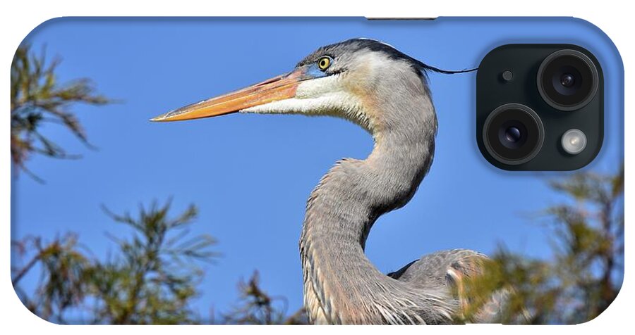 Great Blue Heron iPhone Case featuring the photograph Up High by Julie Adair