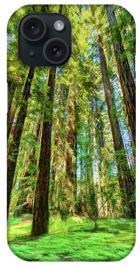 California iPhone Case featuring the photograph Up Into the California Redwoods ap 120 by Dan Carmichael