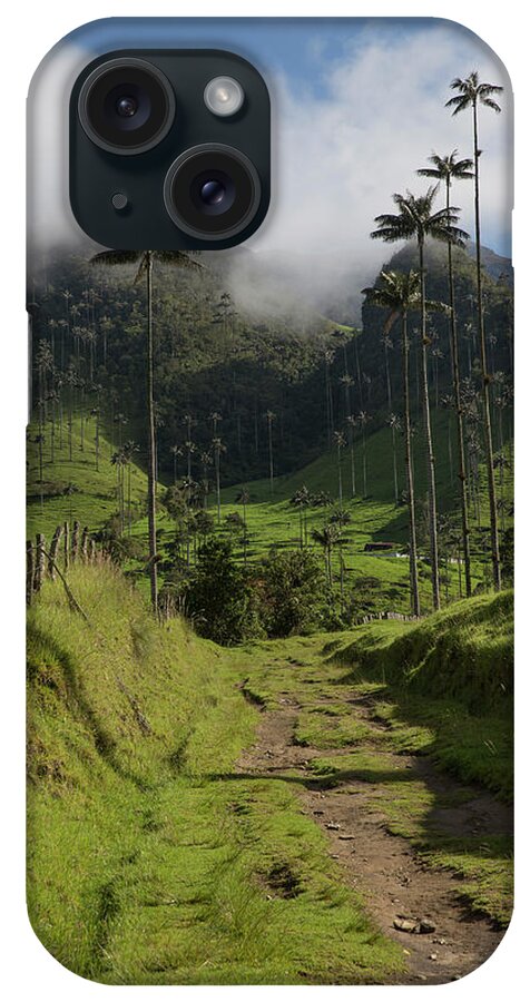Valle Del Cocora iPhone Case featuring the photograph Valle Del Cocora Salento Quindio Colombia by Tristan Quevilly