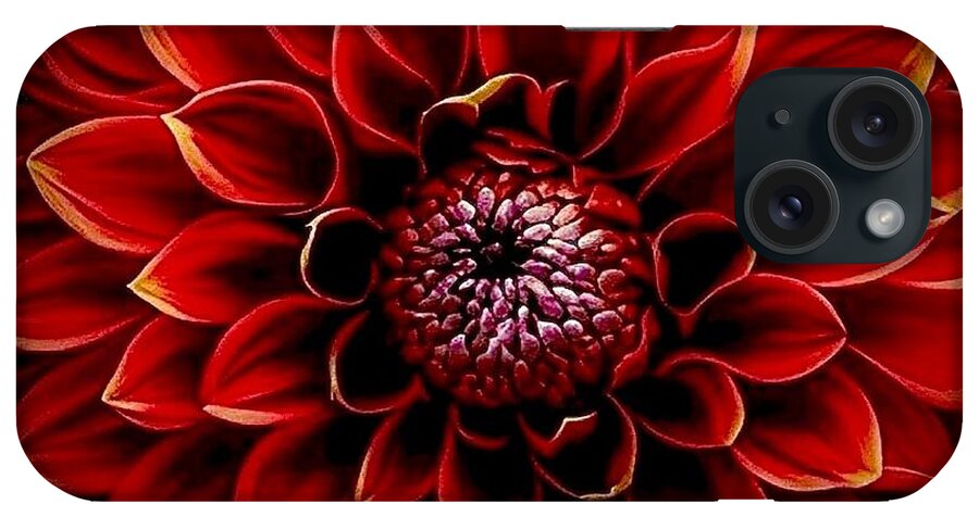 Dahlia iPhone Case featuring the photograph Vavavavoom by Denise Railey