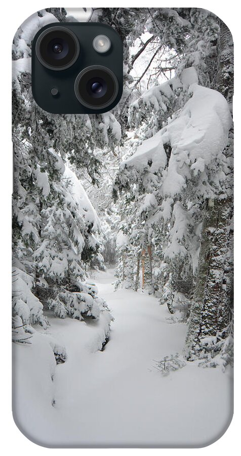 Vermont Appalachian Trail Just South Of Summit Of Stratton Mountain iPhone Case featuring the photograph Vermont Appalachian Trail Just South of Summit of Stratton Mountain by Raymond Salani III