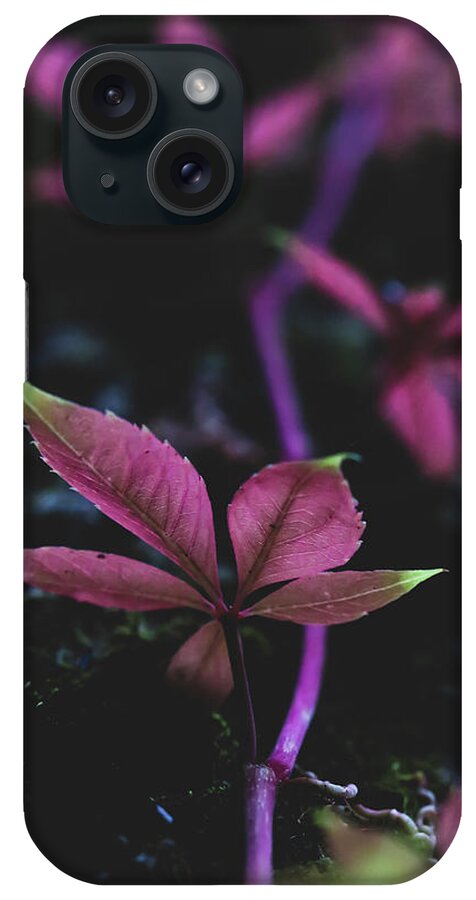 Mountain iPhone Case featuring the photograph Vine Vibes by Go and Flow Photos