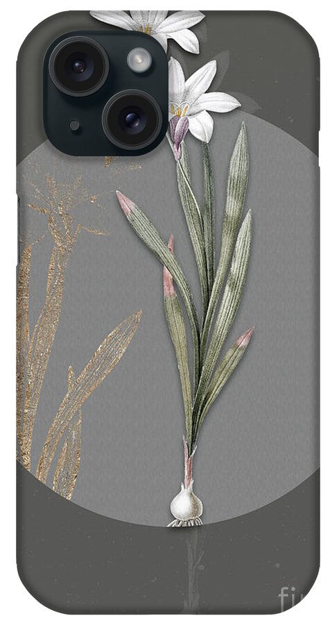 Vintage iPhone Case featuring the painting Vintage Botanical Ixia Liliago on Circle Gray on Gray by Holy Rock Design