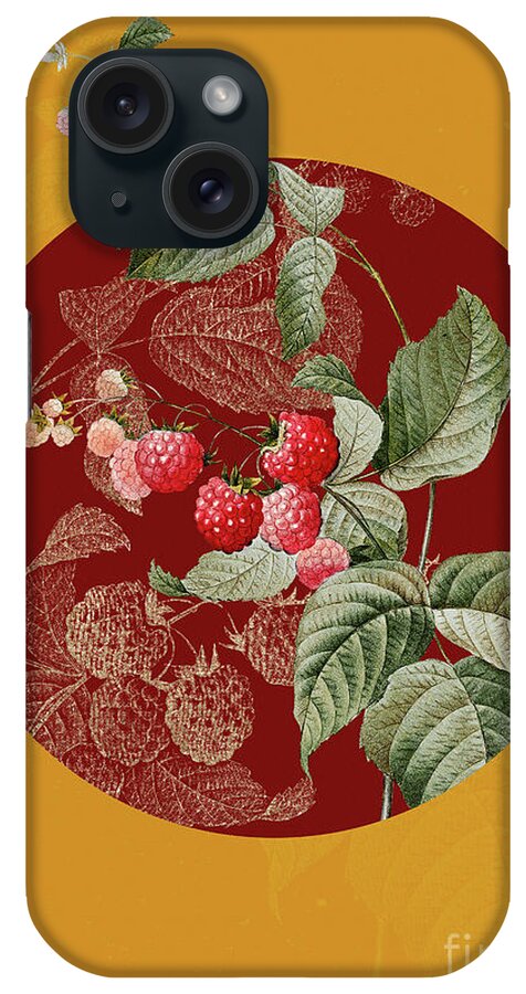 Vintage iPhone Case featuring the painting Vintage Botanical Red Berries on Circle Red on Yellow by Holy Rock Design