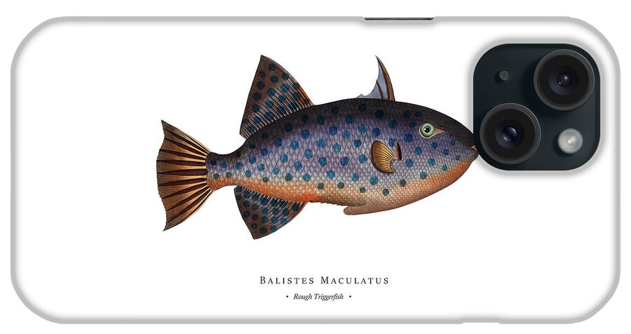 Illustration iPhone Case featuring the digital art Vintage Fish Illustration - Rough Triggerfish by Studio Grafiikka