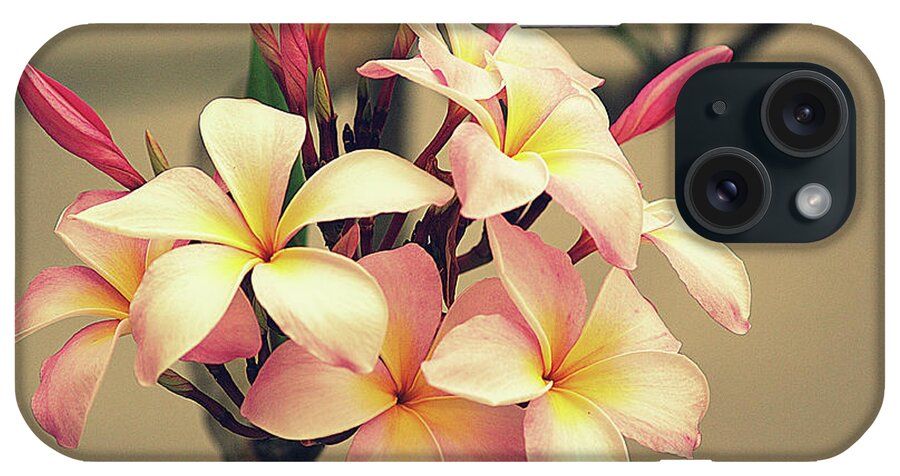 Plumeria iPhone Case featuring the photograph Vintage Florida by Hilda Wagner