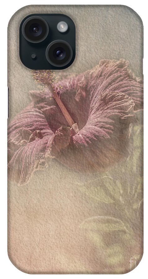 Hibiscus iPhone Case featuring the photograph Vintage Hibiscus by Elaine Teague