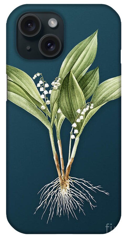Vintage iPhone Case featuring the painting Vintage Lily of the Valley Botanical Art on Teal Blue n.0599 by Holy Rock Design