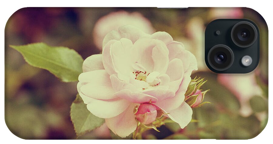Rose iPhone Case featuring the photograph Vintage Pink Rose by Tanya C Smith