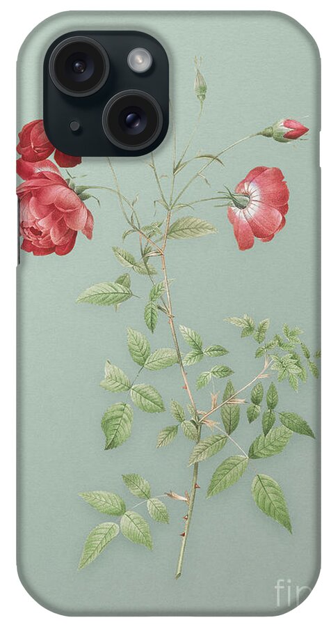 Vintage iPhone Case featuring the mixed media Vintage Red Rose Botanical Art on Mint Green n.0434 by Holy Rock Design