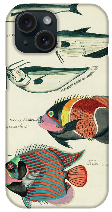 Fish iPhone Case featuring the digital art Vintage, Whimsical Fish and Marine Life Illustration by Louis Renard - Sardine, Douwing Admiral by Louis Renard