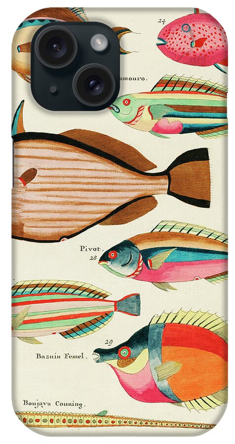 Fish iPhone Case featuring the digital art Vintage, Whimsical Fish and Marine Life Illustration by Louis Renard - Tandock, Touring, Poupou by Louis Renard