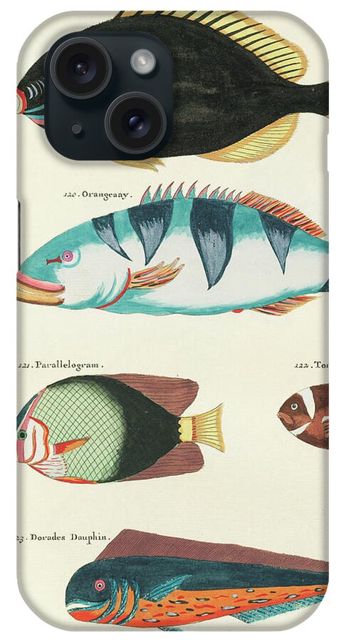 Fish iPhone Case featuring the digital art Vintage, Whimsical Fish and Marine Life Illustration by Louis Renard - Tontelton, Dorado Fish by Louis Renard