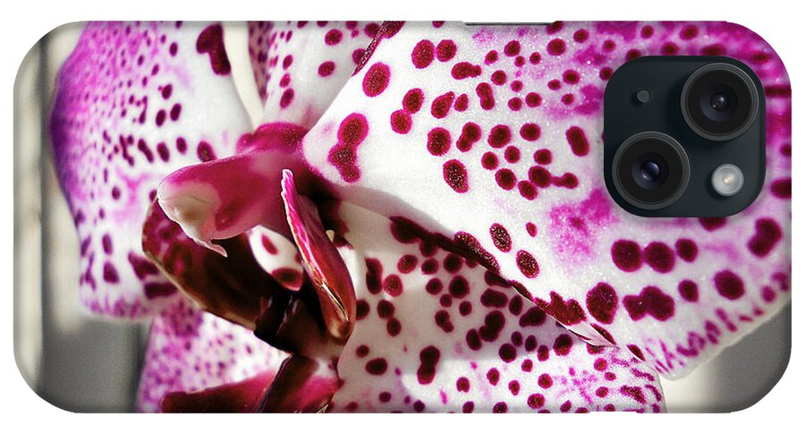 Orchid iPhone Case featuring the photograph Violet beauty by Ramona Matei