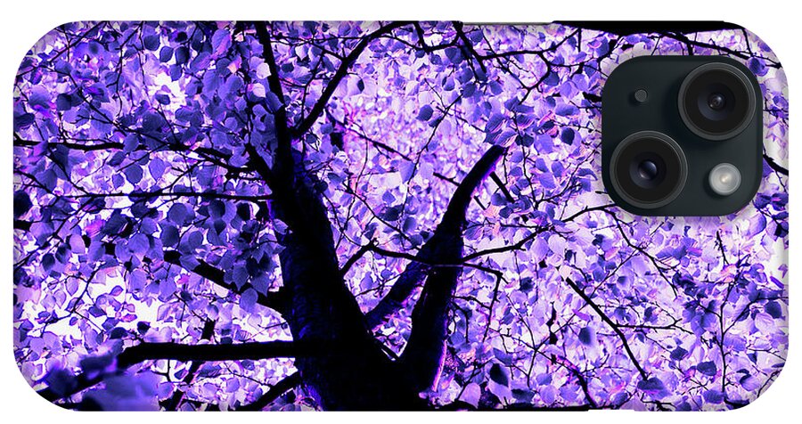 Forest iPhone Case featuring the photograph Violet funky tree by Severija Kirilovaite